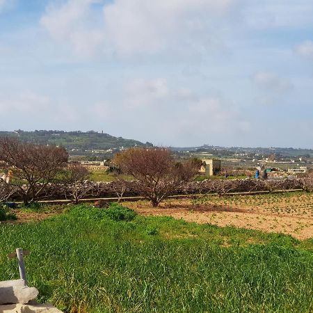 Auberge De Provence Vendégház Siggiewi Kültér fotó