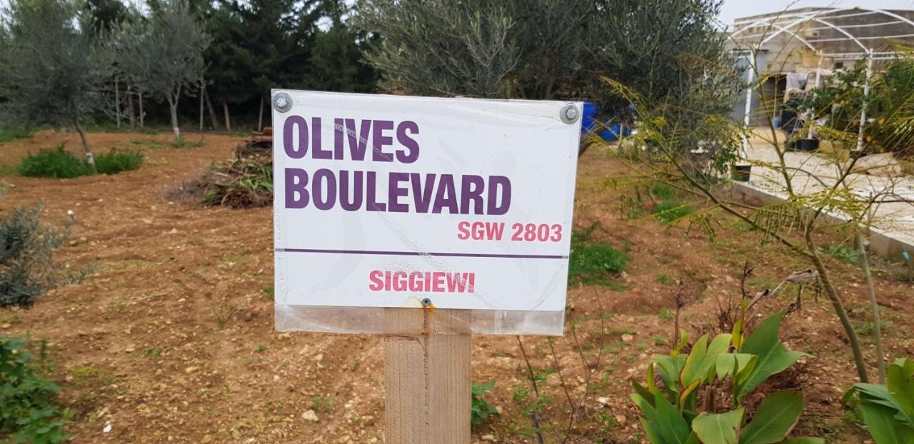 Auberge De Provence Vendégház Siggiewi Kültér fotó